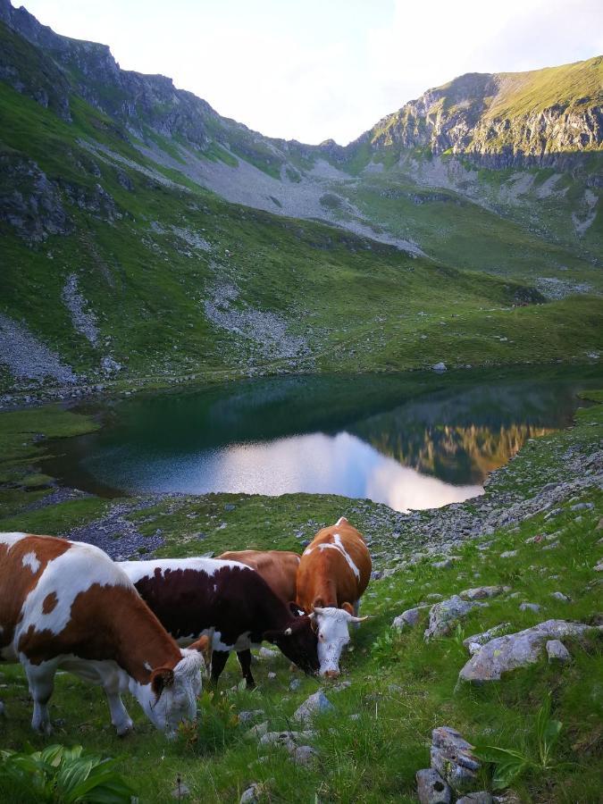 Apartmán Moamoosgut Goriach  Exteriér fotografie