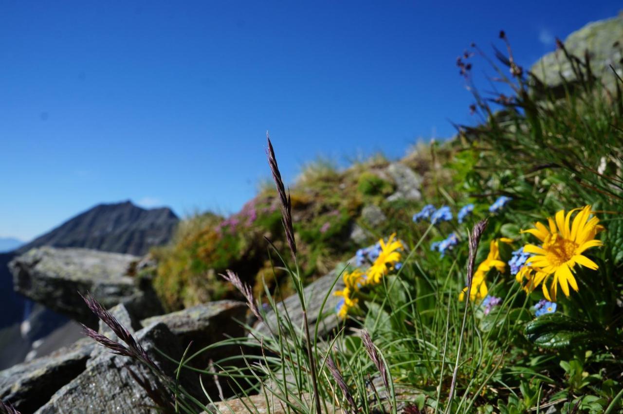 Apartmán Moamoosgut Goriach  Exteriér fotografie