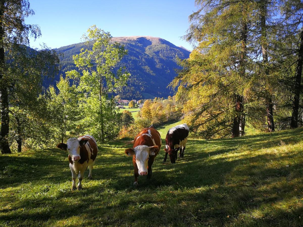 Apartmán Moamoosgut Goriach  Exteriér fotografie